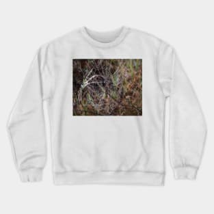 Spider Web with Water Doplets on a Foggy Morning Crewneck Sweatshirt